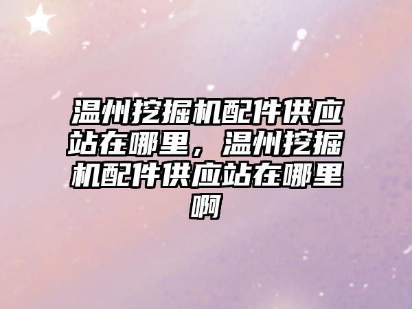 溫州挖掘機配件供應站在哪里，溫州挖掘機配件供應站在哪里啊
